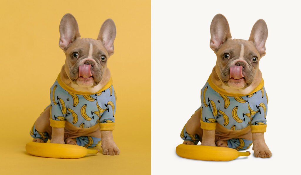 Image Background Removal Services